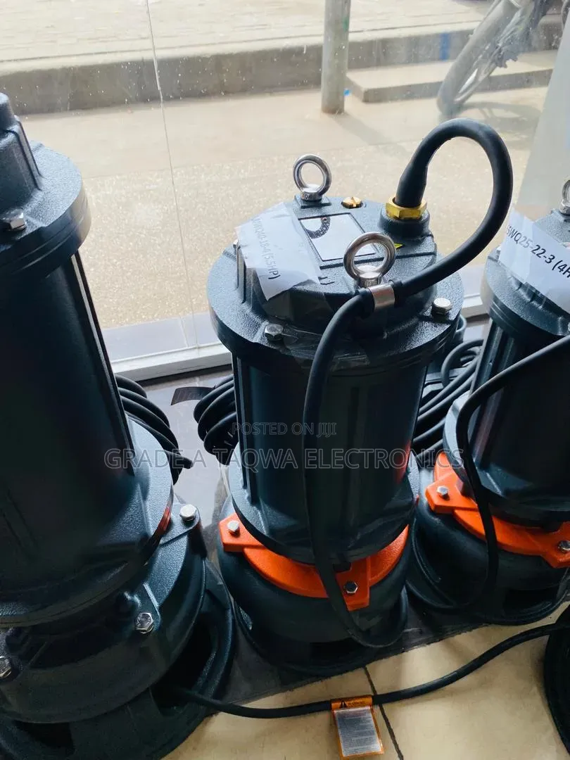 Leo 5.5 Horsepower Sewage Water Pump