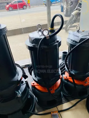 High Capacity Wastewater Handling Leo 5.5hp Pump