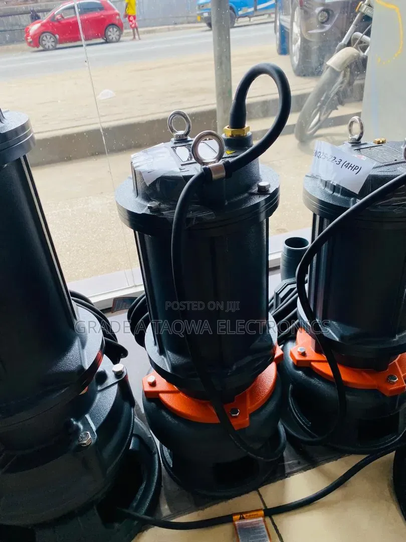 High Capacity Wastewater Handling Leo 5.5hp Pump