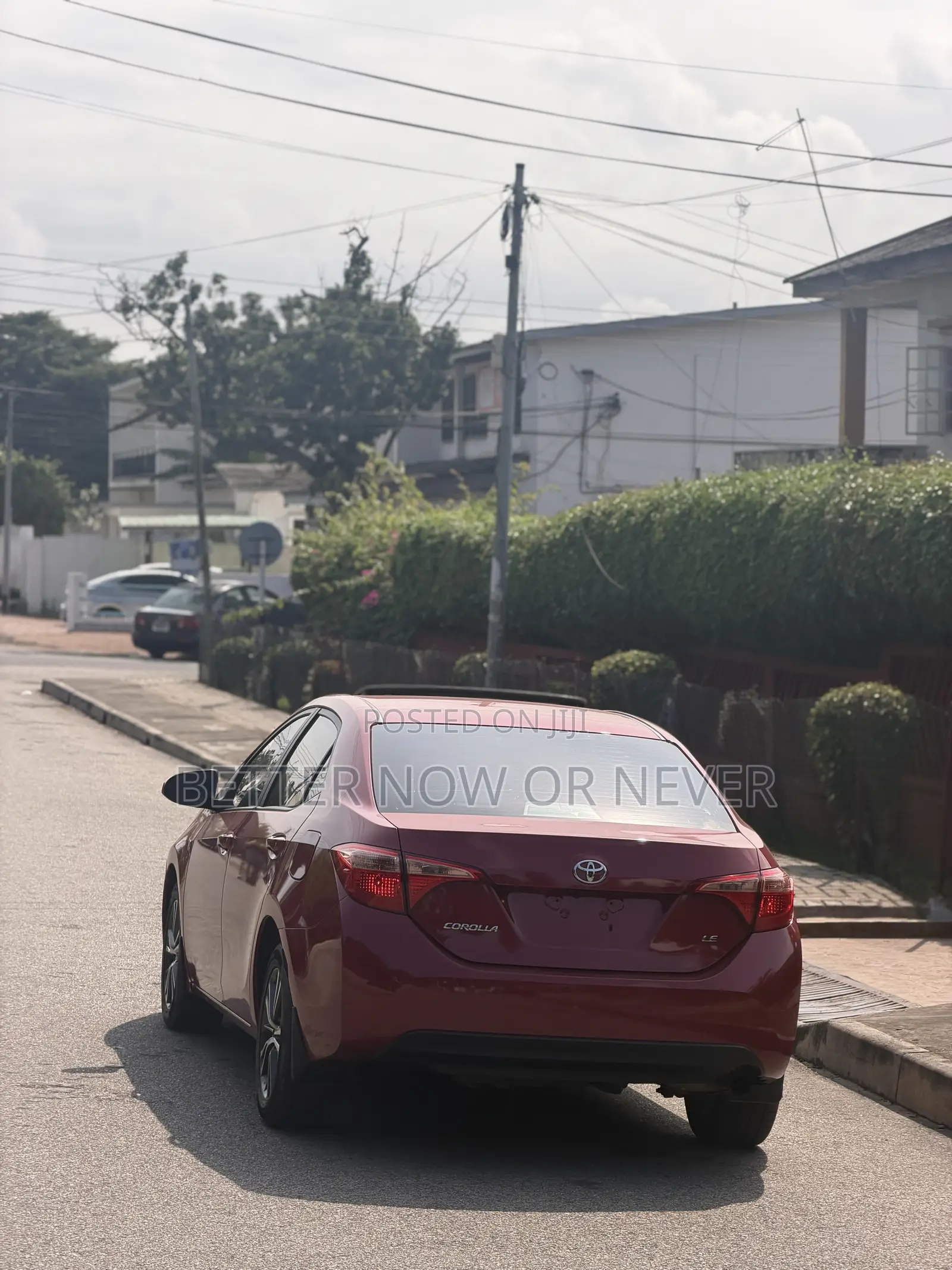 Toyota Corolla LE (1.8L 4cyl 2A) 2019 Red