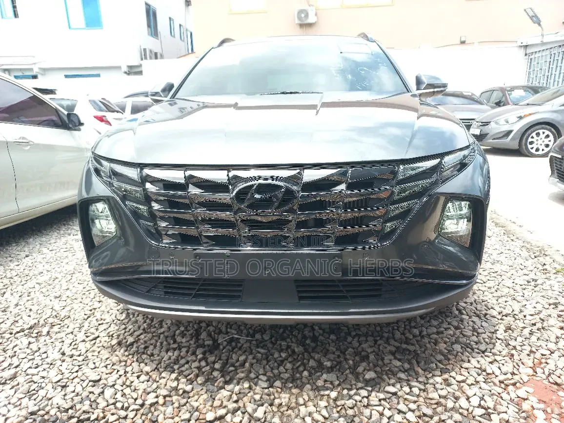 Hyundai Tucson 2022 Gray