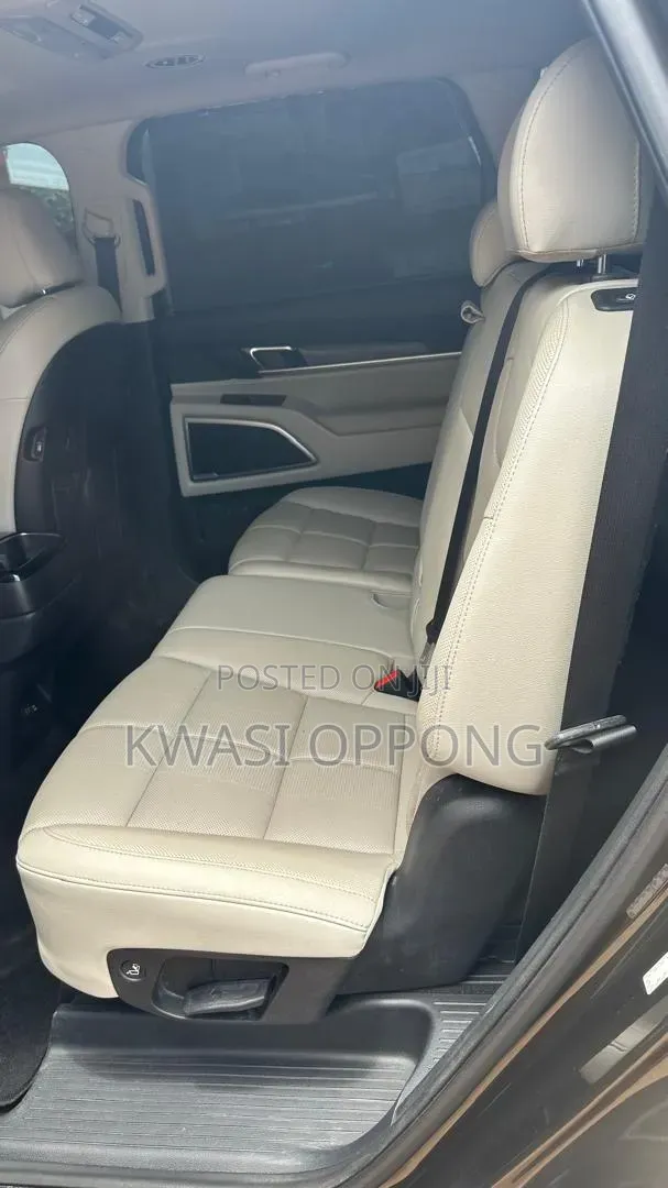 Kia Telluride 2021 Green