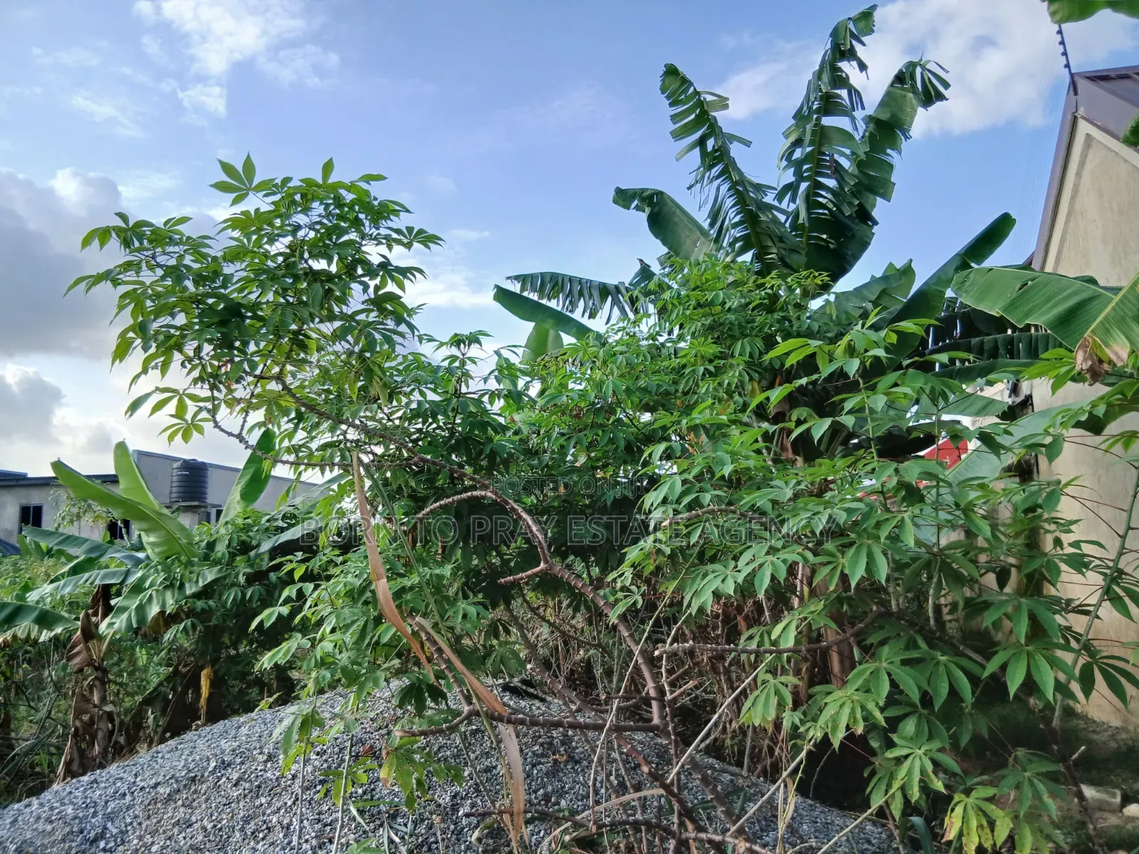 Well Developed Full Plot of Land for Sale