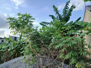 Well Developed Full Plot of Land for Sale
