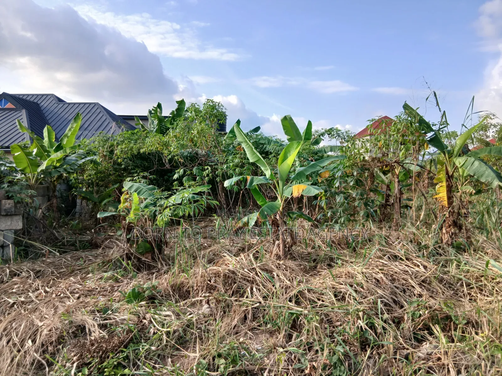Well Developed Full Plot of Land for Sale