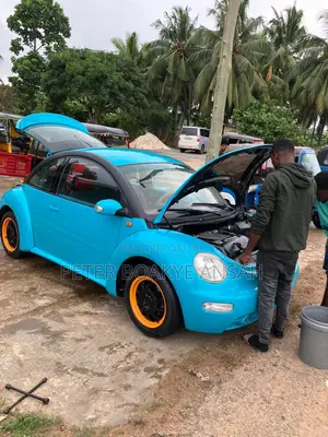 Volkswagen Beetle 2008 Blue