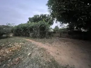 Titled Roadside Land at Oyarifa