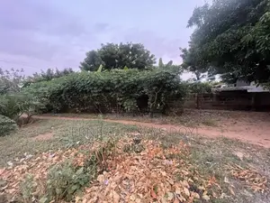 Titled Roadside Land at Oyarifa