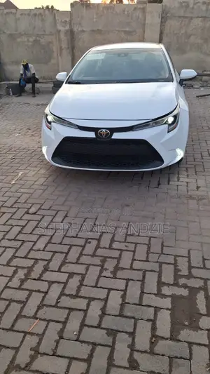 Toyota Corolla LE 2020 White