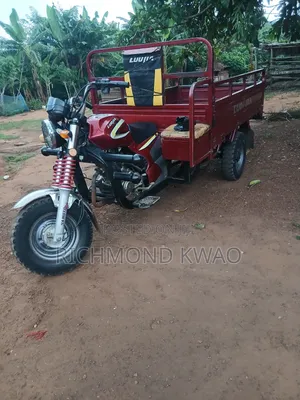 Luojia Motorized Tricycle 2025 Red