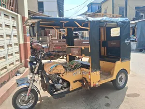 Tricycle 2024 Yellow