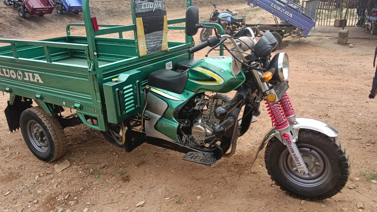 Luojia Clean Tricycle 2026 Green