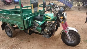 Luojia Clean Tricycle 2026 Green