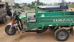 Luojia Clean Tricycle 2026 Green