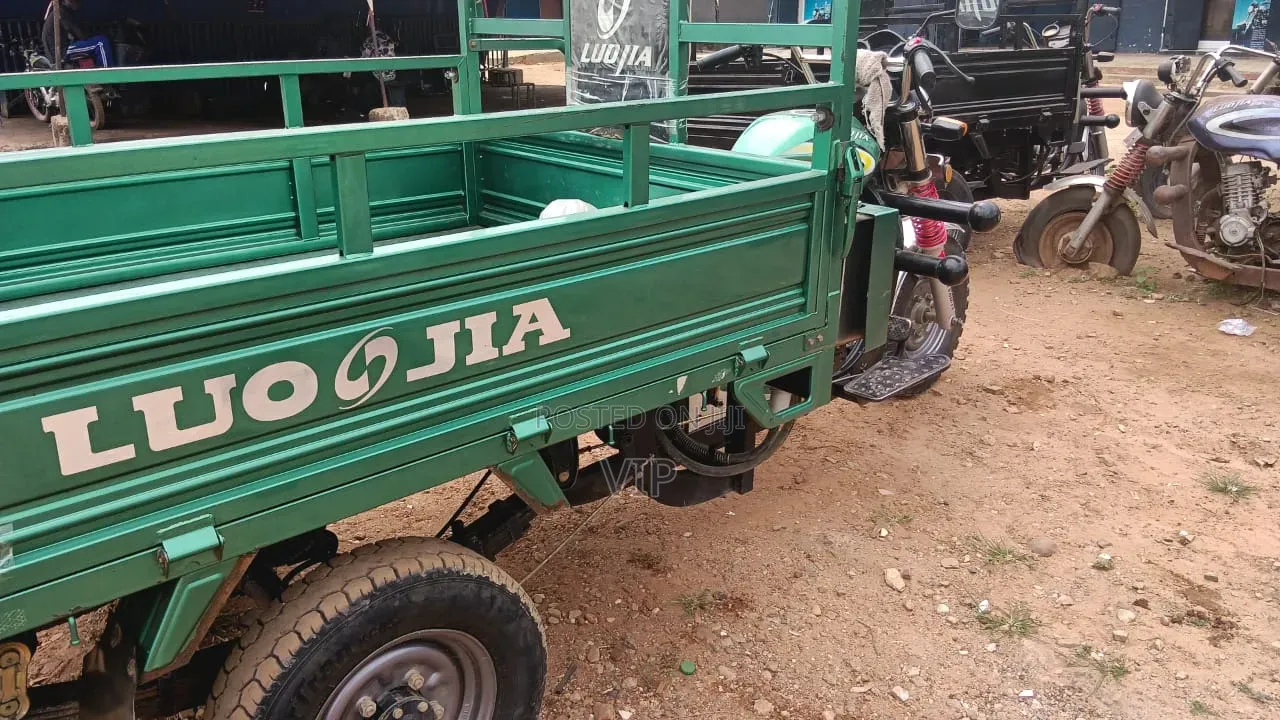 Luojia Clean Tricycle 2026 Green