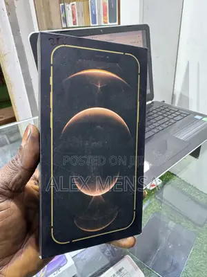 Apple iPhone 12 Pro Max 256 GB Blue