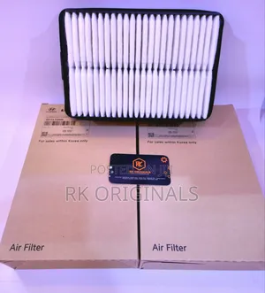 Elantra 17-20/Kona 18-23/Seltos 2025/Soul 20-25/Veloster Air Filter