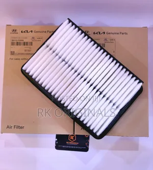 Elantra 17-20/Kona 18-23/Seltos 2025/Soul 20-25/Veloster Air Filter