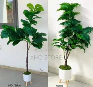 Artificial Plant Areca Palm, Dumb Cane, Fiddle Leaf, Potted Plants