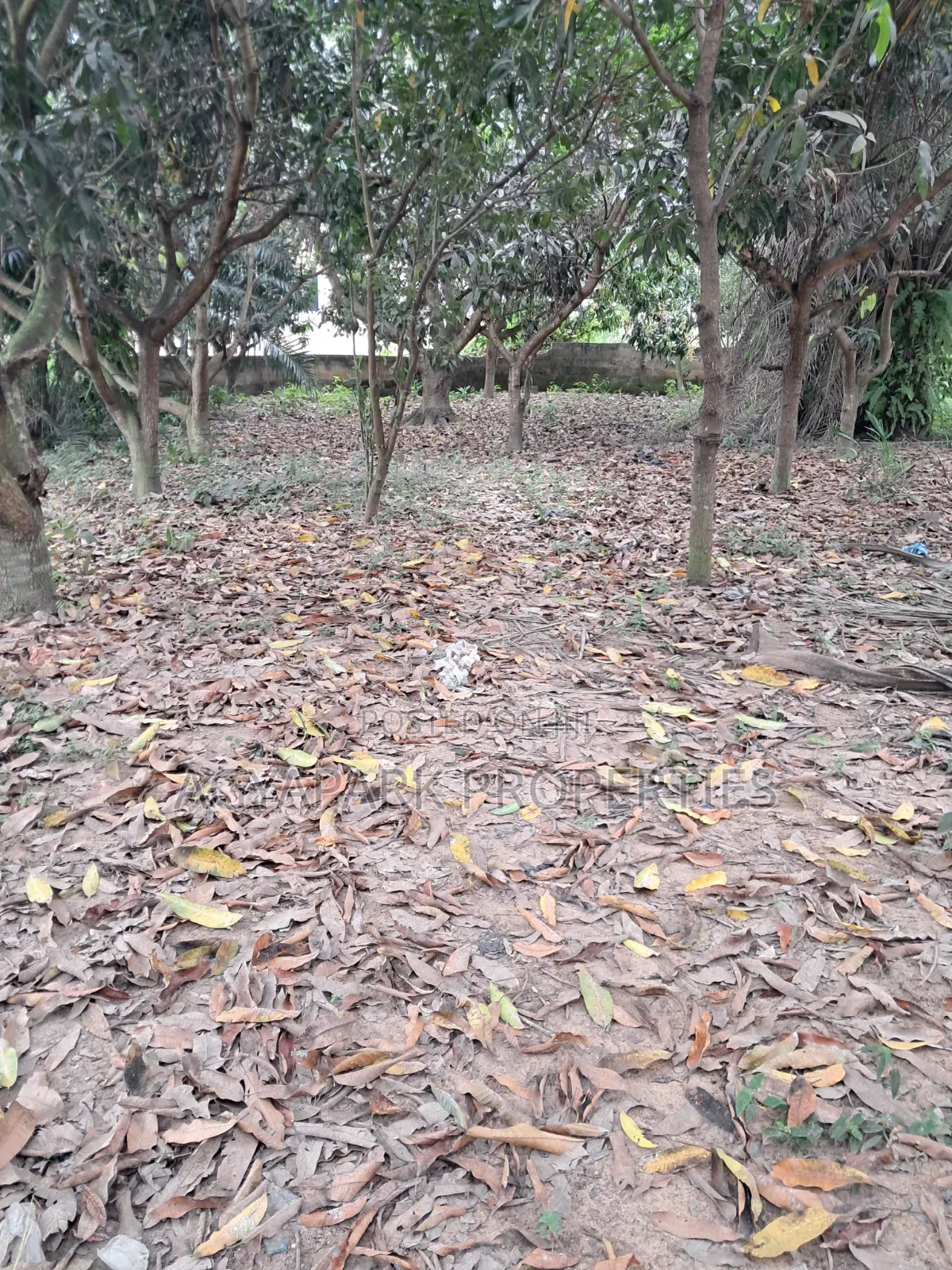 One and Half Plot of Title Land for Sale