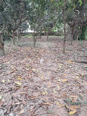 One and Half Plot of Title Land for Sale