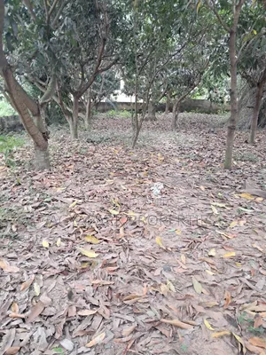 One and Half Plot of Title Land for Sale