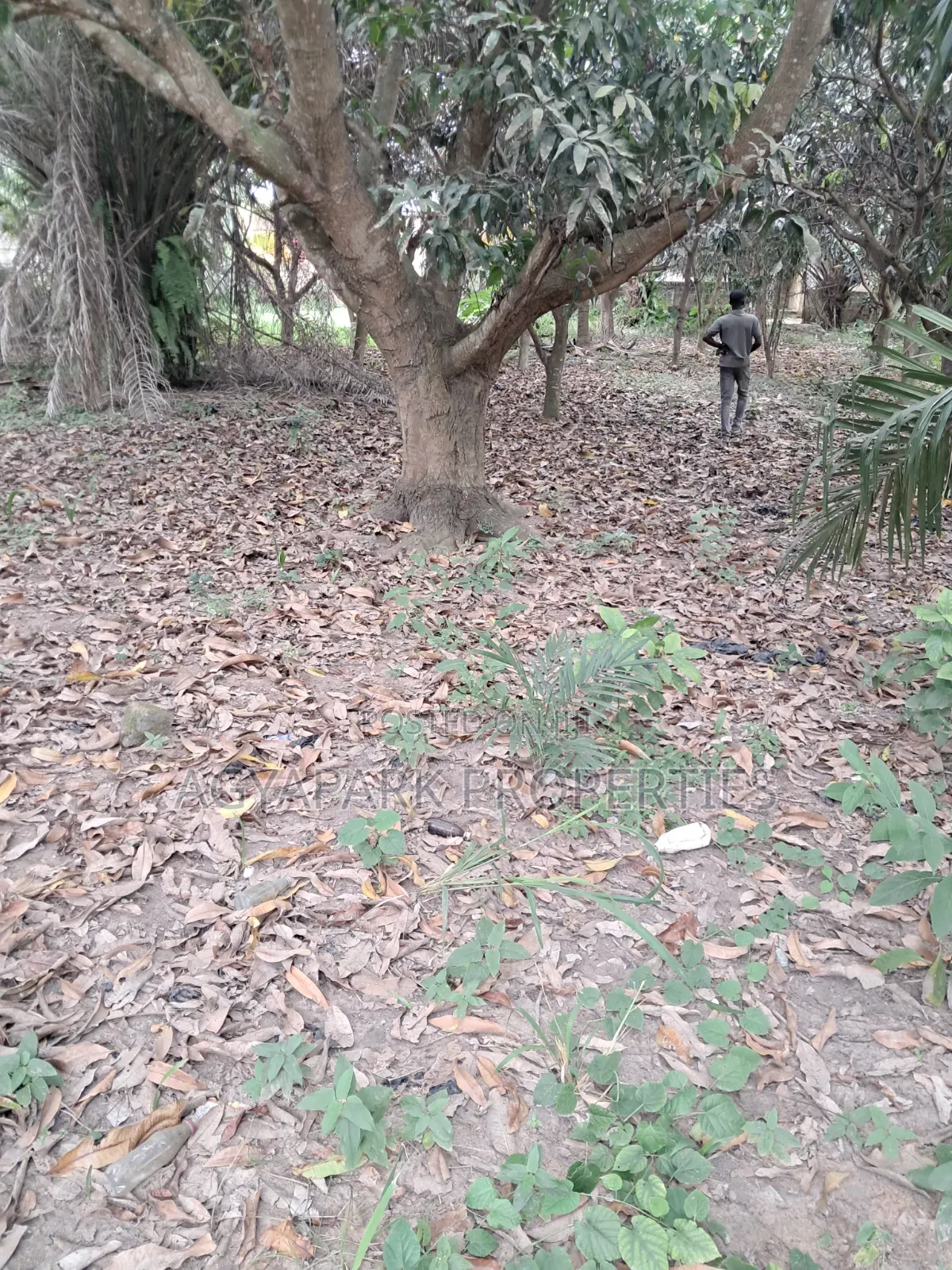 One and Half Plot of Title Land for Sale
