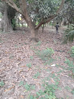 One and Half Plot of Title Land for Sale