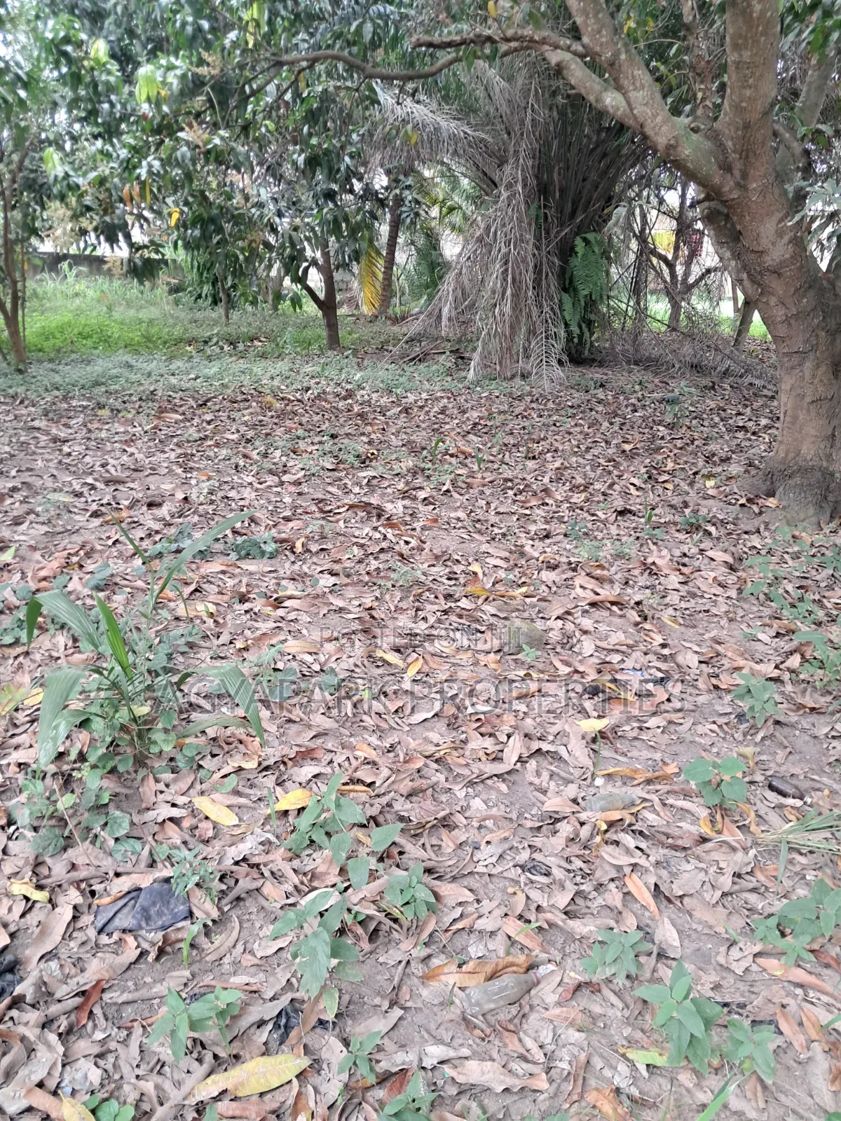 One and Half Plot of Title Land for Sale
