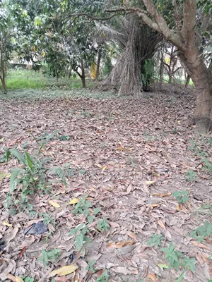 One and Half Plot of Title Land for Sale