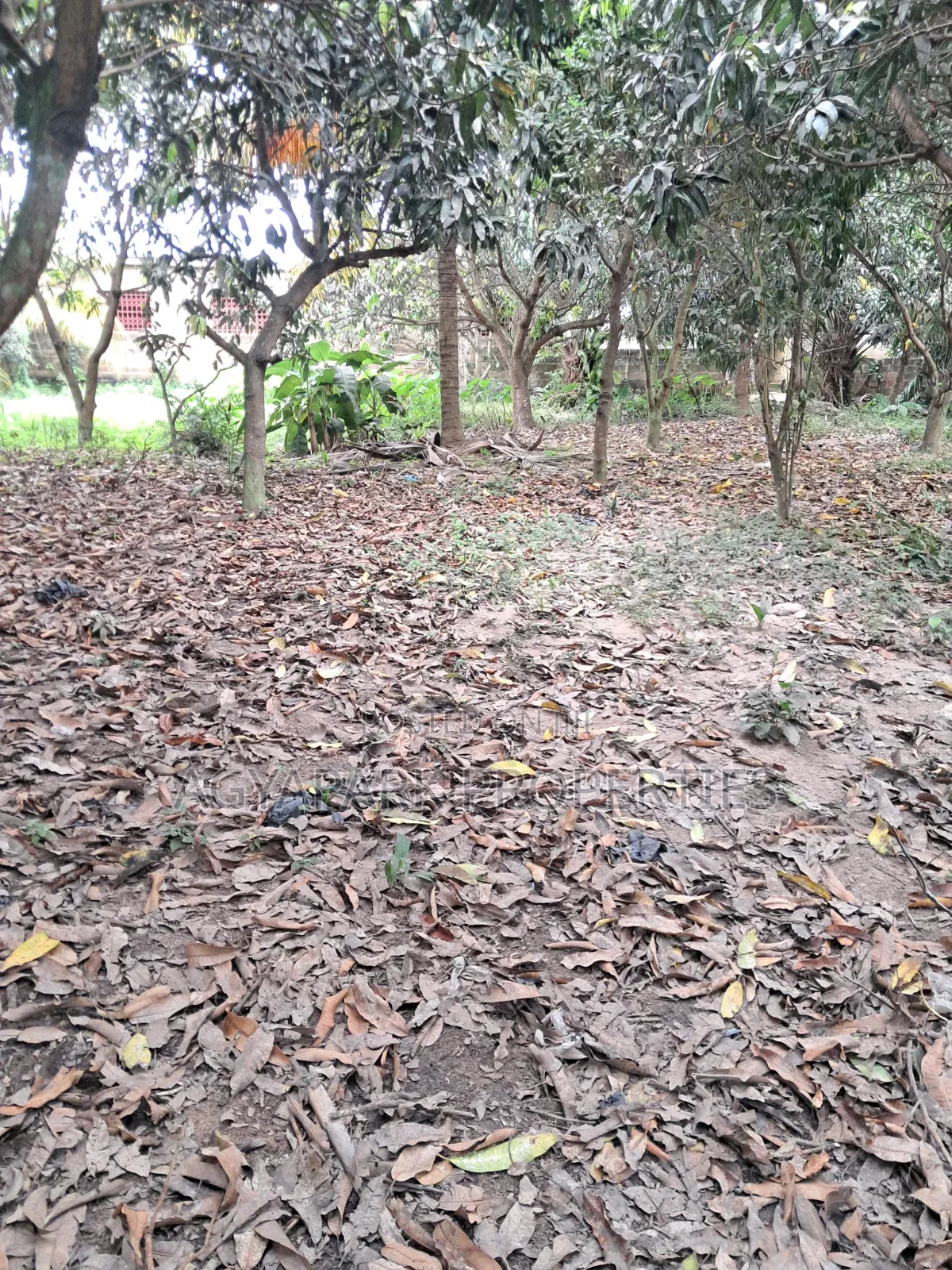One and Half Plot of Title Land for Sale
