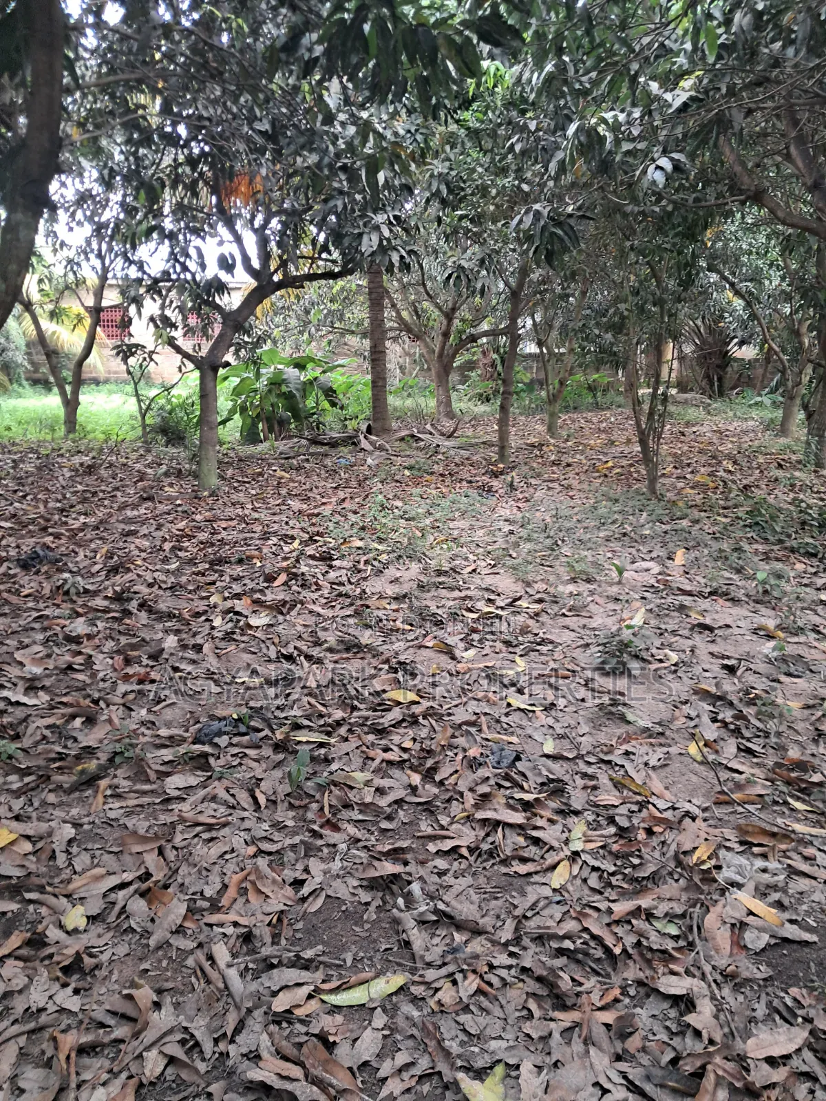 One and Half Plot of Title Land for Sale