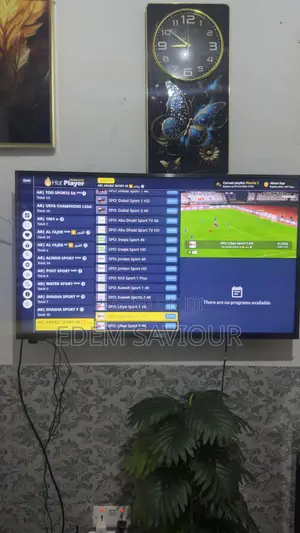 LG Television