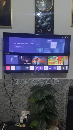 LG Television
