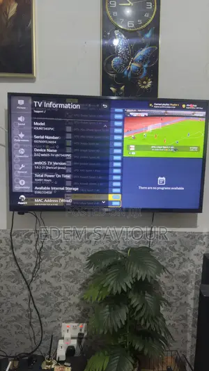 LG Television