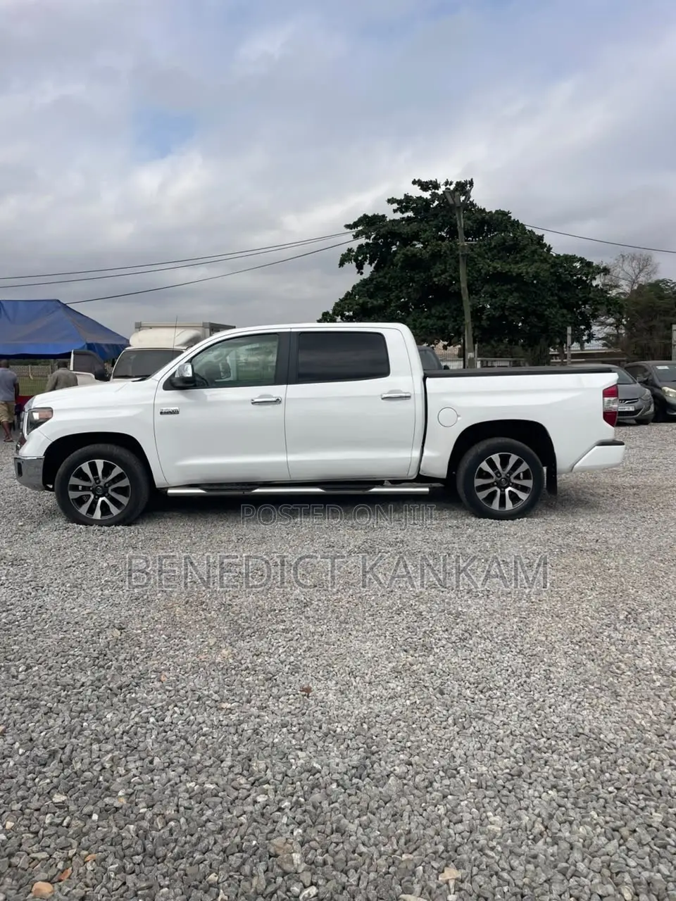 Toyota Tundra Limited 5.7L V8 4x2 Double Cab 6.6 ft. box 145.7 in. WB