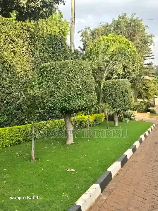 Majority Landscaping and Construction