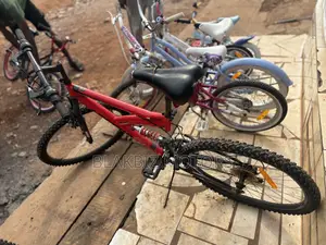 Adult Bicycle