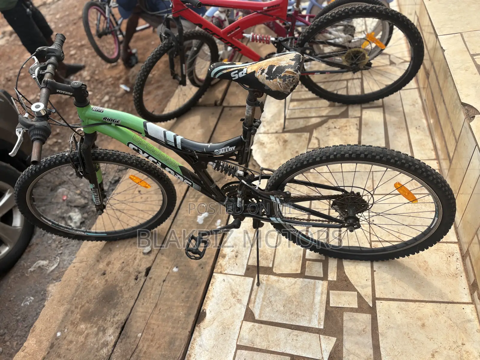 Adult Bicycle
