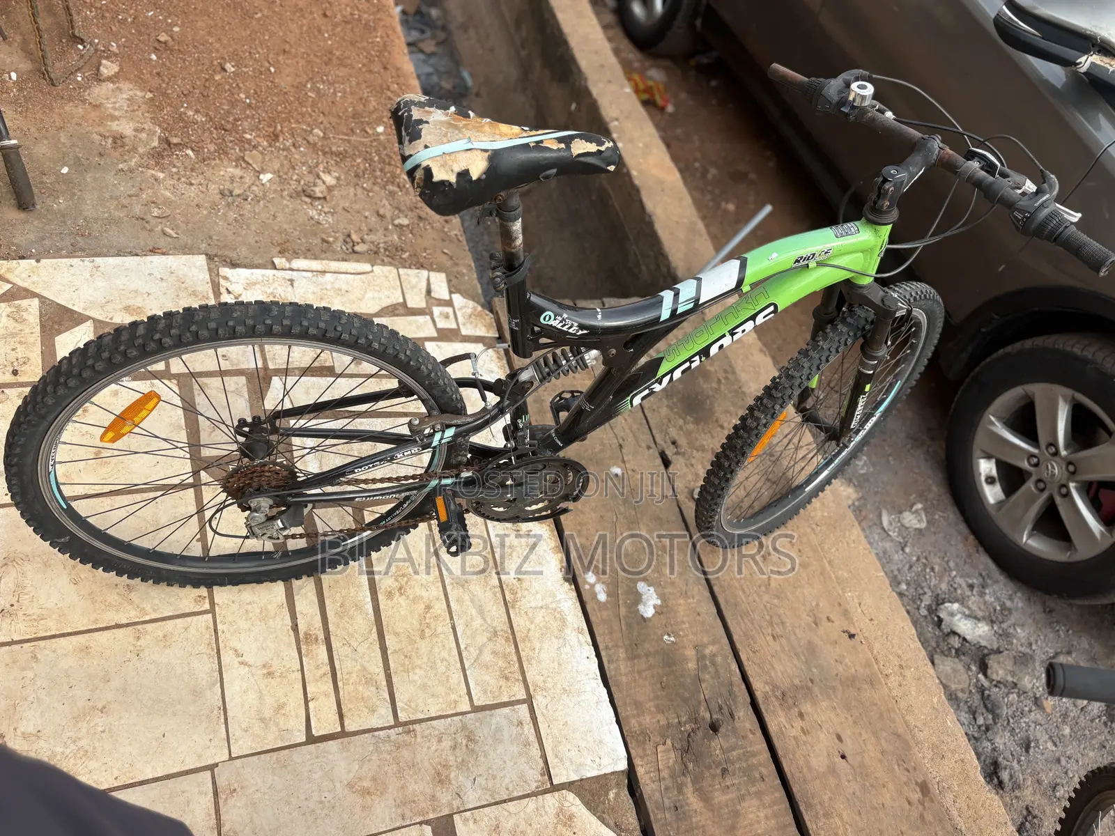 Adult Bicycle