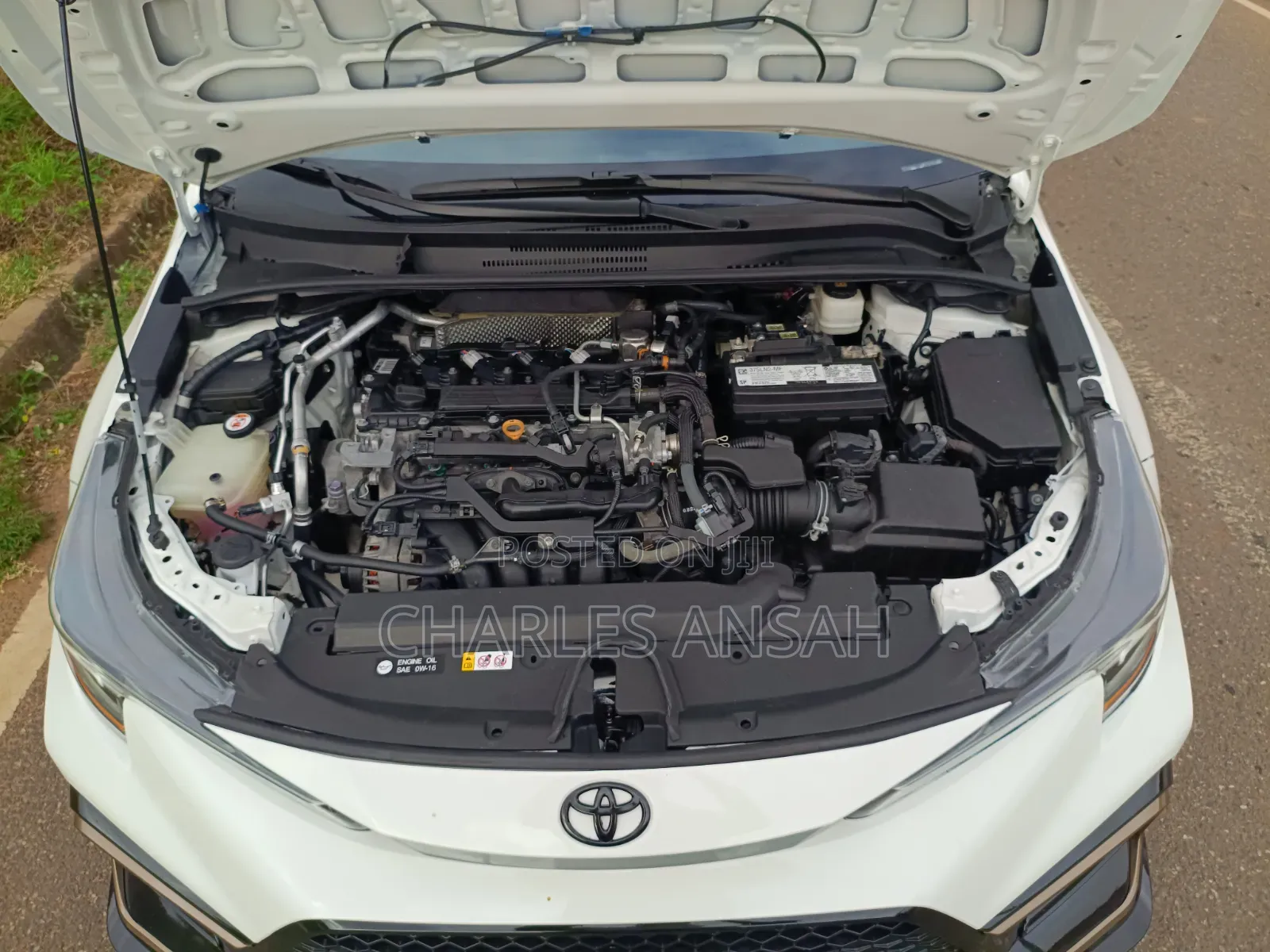Toyota Corolla APEX SE 2021 White