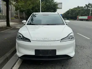 Aion V 2022 White