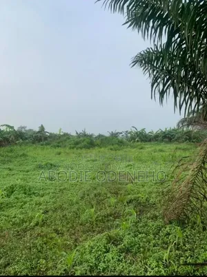 Plots of Land for Sale