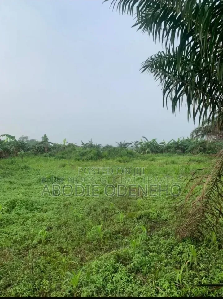 Plots of Land for Sale