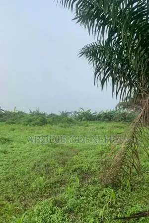 Plots of Land for Sale