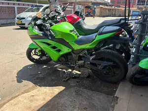 Kawasaki Ninja 300 2019 Green