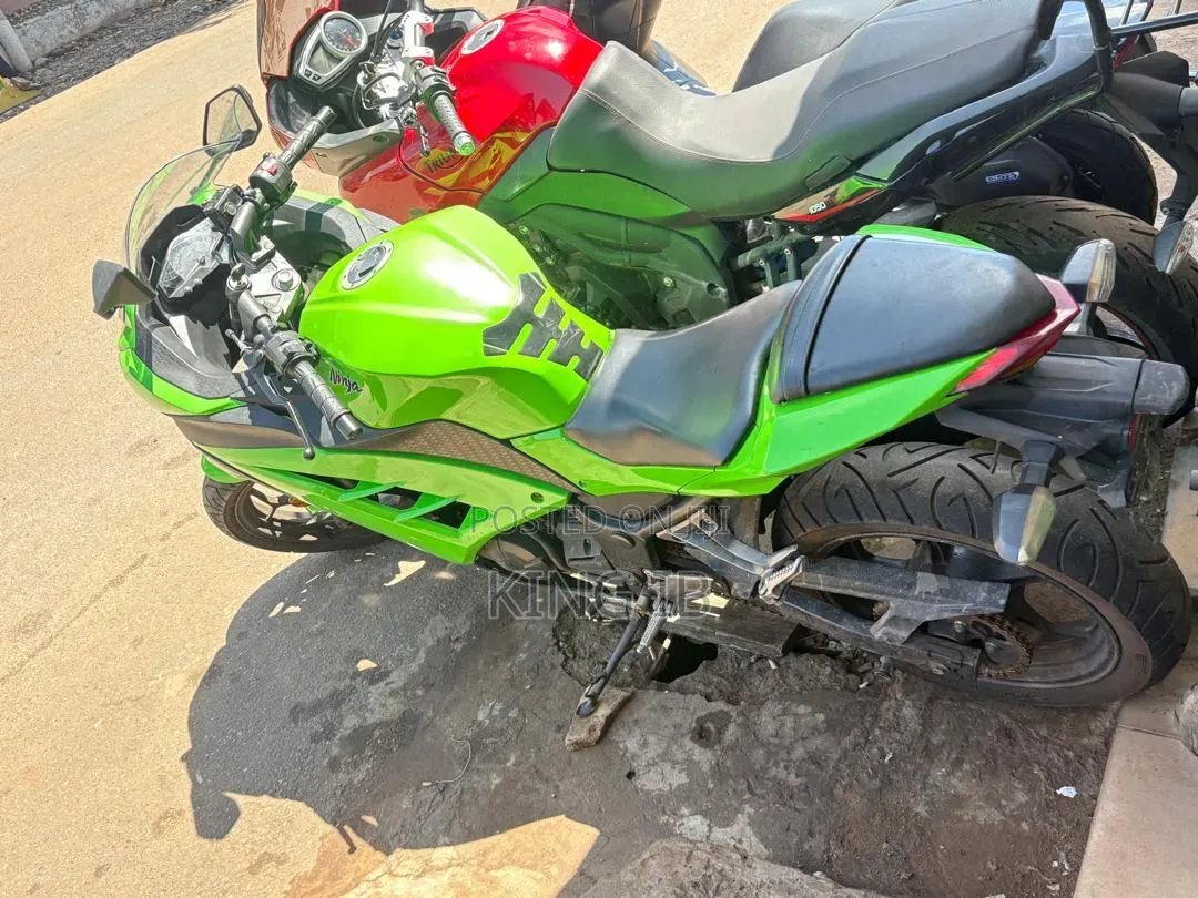 Kawasaki Ninja 300 2019 Green