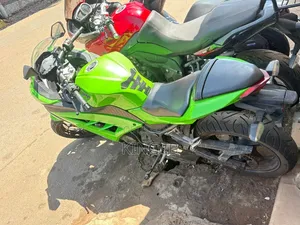Kawasaki Ninja 300 2019 Green