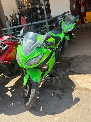Kawasaki Ninja 300 2019 Green