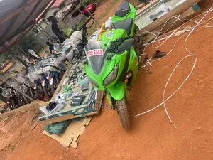 Kawasaki Ninja 300 2019 Green